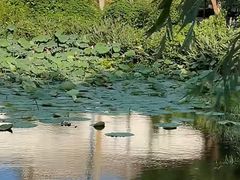 -元鼎宝驴香·全驴宴(江宁店)