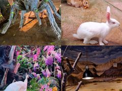 -正佳雨林生态植物园