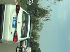 -秀丽东方