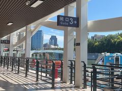 -海河游船-永乐码头(大悲院)