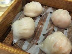 笋尖水晶鲜虾饺-东莞美怡登酒店(常平南站店)