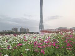-海心沙亚运公园