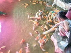 -泉城欧乐堡海洋极地世界