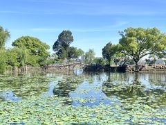 -无锡蠡湖国家湿地公园-蠡园