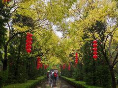-大槐树寻根祭祖园