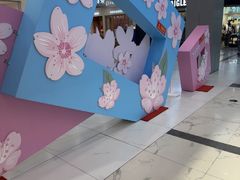 -凯德MALL(望京店)