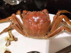 -圣丰索菲特·2 On 988 Café 自助餐厅