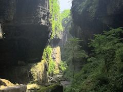 -鹿院坪生态旅游景区