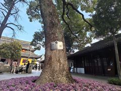 -西园寺素食(西园弄戒幢律寺店)