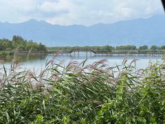 -野鸭湖国家湿地公园