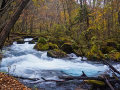 -叠溪松坪沟景区