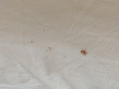 -福州金融街万达鳌峰洲地铁站锦江都城酒店