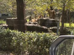 -秦皇岛野生动物园