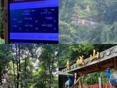 -青城山