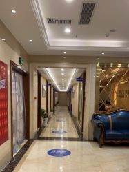 -碧莲盛·不剃发植发