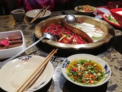 -小龙坎火锅(东汇城店)