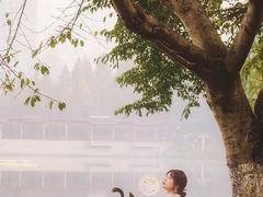 -重庆彩云湖湿地公园