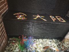 -金太阳海鲜烧烤·本地人餐厅(星海公园店)