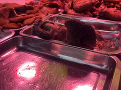 -洪记白水羊头(天坛店)