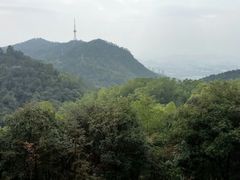 -大雁山风景区