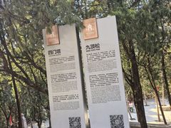 -四门塔风景区