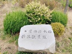 -星海湾跨海大桥