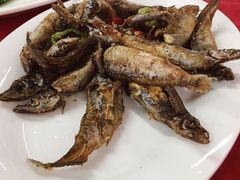 -蛇口康乐快餐鱼仔档(翠苑小区店)