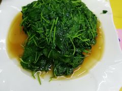 -做了不起的80后