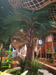 -奇幻丛林(佛罗伦萨小镇店)