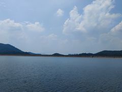 -清溪森林公园