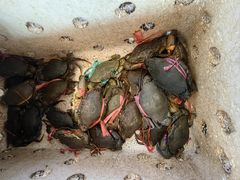 -莲花公园煎蟹(总店)