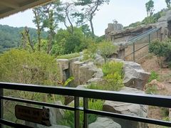-宁波野生动物园