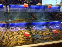 水产区-必点海鲜·鲅鱼水饺(鞍山西道店)