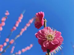 -蜀冈西峰生态公园