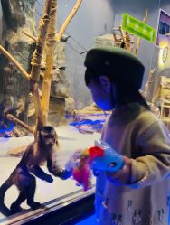-未来动物城动物主题公园(大悦城店)