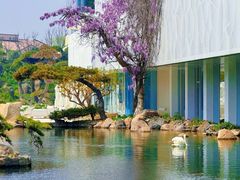 -罗红摄影艺术馆