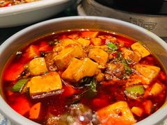 麻婆豆腐-樽宴酒楼·地道川菜·品质宴请