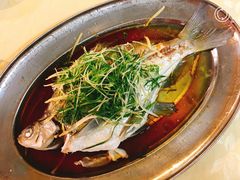 -海五农庄(海五店)