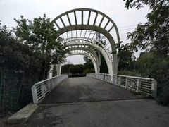 -九里河湿地公园