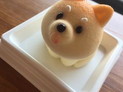 -柴犬高等学院·狗咖·柴犬售卖·宠物训练