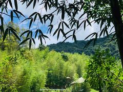 -千泷沟大瀑布旅游区