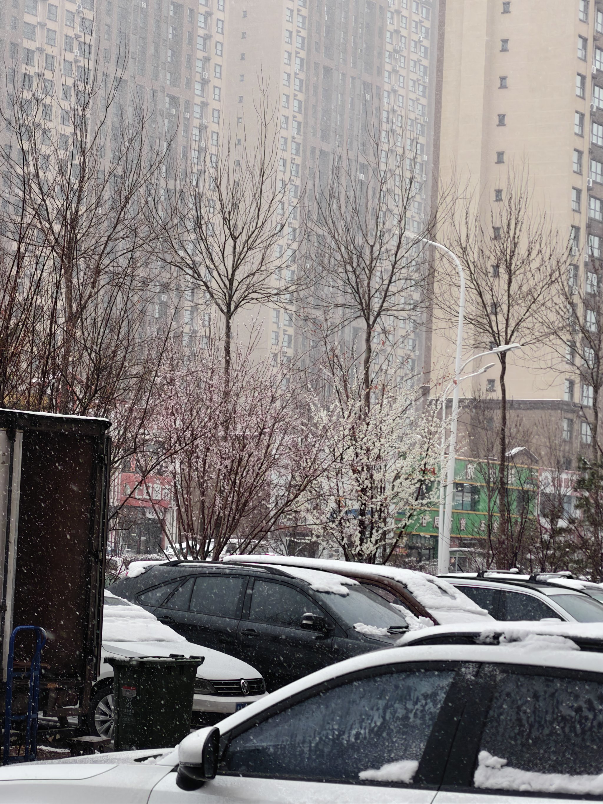 今天长春天气预报