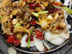 -凯鸽酒楼(大同振兴街店)