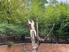 -济南野生动物世界