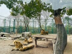 -上海野生动物园