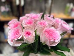 -沪花拾者(好再来花卉鲜花店)