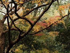 -中国茶叶博物馆(双峰馆区)