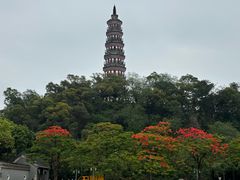 -顺峰山公园