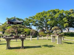 -江心屿景区