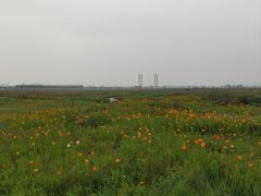 -敕勒川草原